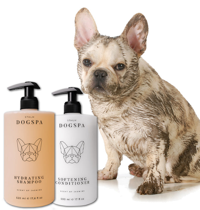hydrating dog shampoo, softening dog conditioner, bundle