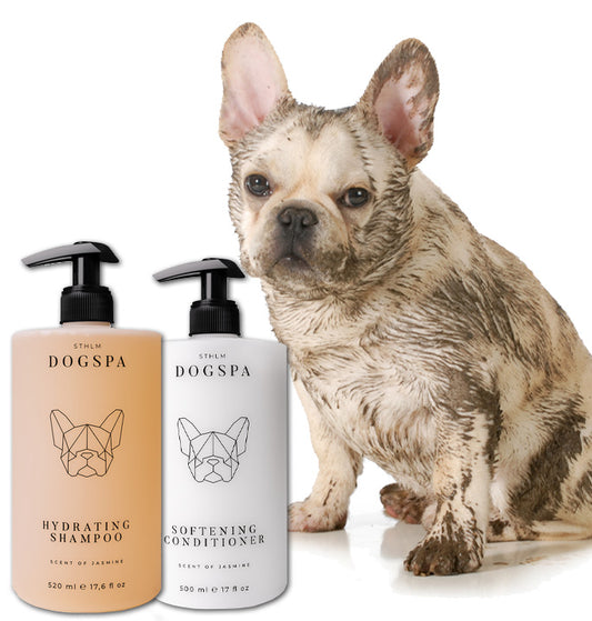 hydrating dog shampoo, softening dog conditioner, bundle