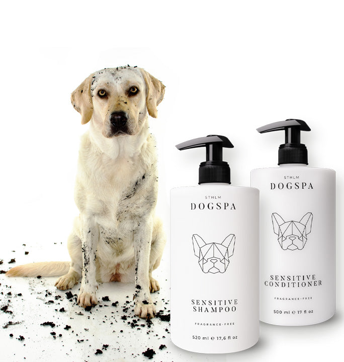 sensitive dog shampoo, sensitive dog conditioner, gift pack, bundle